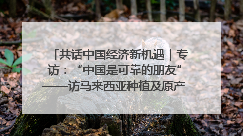 共话中国经济新机遇｜专访：“中国是可靠的朋友”——访马来西亚种植及原产业部副部长陈泓缣