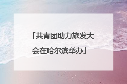 共青团助力旅发大会在哈尔滨举办
