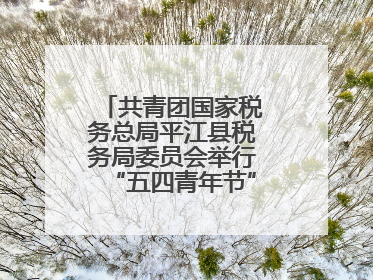 共青团国家税务总局平江县税务局委员会举行“五四青年节”主题团日活动