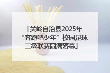 关岭自治县2025年“奔跑吧少年”校园足球三级联赛圆满落幕