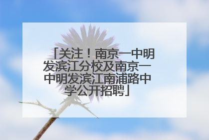 关注！南京一中明发滨江分校及南京一中明发滨江南浦路中学公开招聘