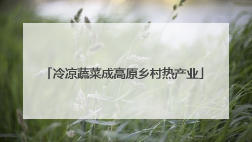 冷凉蔬菜成高原乡村热产业