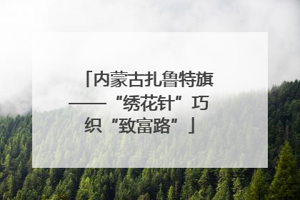 内蒙古扎鲁特旗——“绣花针”巧织“致富路”