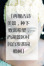 再现古诗美景，种下致富希望，西湖景区村民自发茶园植树