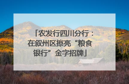 农发行四川分行：在叙州区擦亮“粮食银行”金字招牌