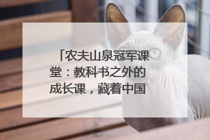 农夫山泉冠军课堂：教科书之外的成长课，藏着中国体育的薪火传承