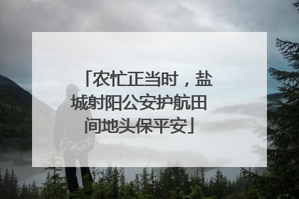农忙正当时，盐城射阳公安护航田间地头保平安