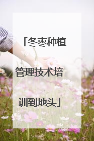 冬枣种植管理技术培训到地头