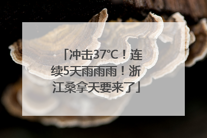 冲击37℃！连续5天雨雨雨！浙江桑拿天要来了