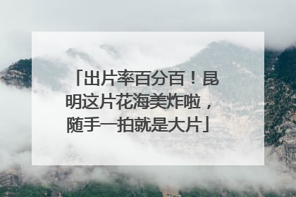 出片率百分百！昆明这片花海美炸啦，随手一拍就是大片