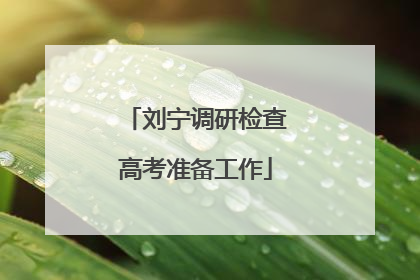 刘宁调研检查高考准备工作
