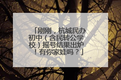 刚刚，杭城民办初中（含民转公学校）摇号结果出炉！有你家娃吗？