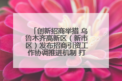创新招商举措 乌鲁木齐高新区（新市区）发布招商引资工作协调推进机制 打造投资发展新高地