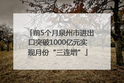 前5个月泉州市进出口突破1000亿元实现月份“三连增”