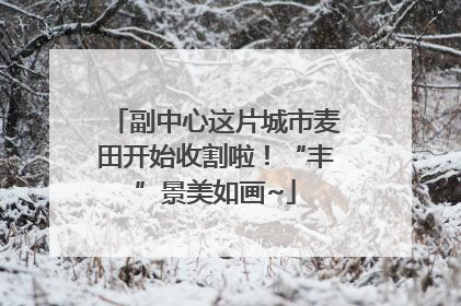 副中心这片城市麦田开始收割啦！“丰”景美如画~
