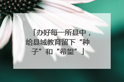 办好每一所县中，给县域教育留下“种子”和“希望”
