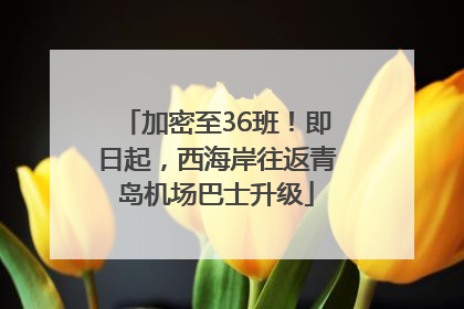 加密至36班！即日起，西海岸往返青岛机场巴士升级