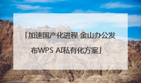 加速国产化进程 金山办公发布WPS AI私有化方案