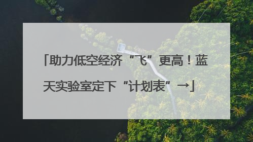 助力低空经济“飞”更高！蓝天实验室定下“计划表”→