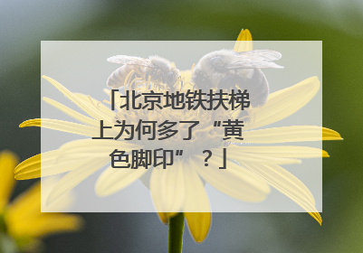 北京地铁扶梯上为何多了“黄色脚印”？