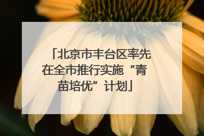 北京市丰台区率先在全市推行实施“青苗培优”计划