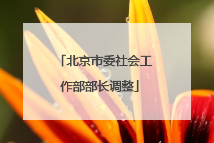 北京市委社会工作部部长调整