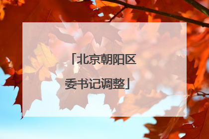 北京朝阳区委书记调整