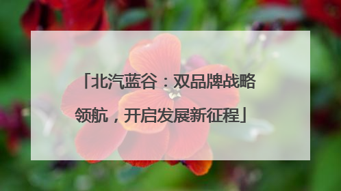 北汽蓝谷：双品牌战略领航，开启发展新征程