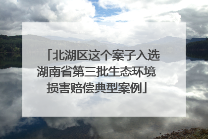 北湖区这个案子入选湖南省第三批生态环境损害赔偿典型案例