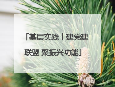 基层实践丨建党建联盟 聚振兴功能