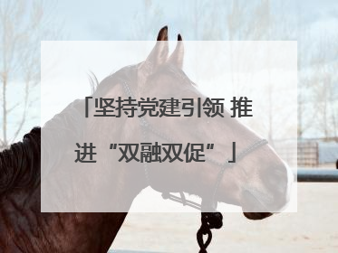 坚持党建引领 推进“双融双促”