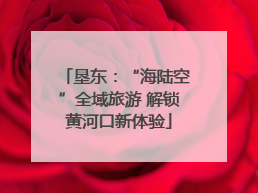 垦东：“海陆空”全域旅游 解锁黄河口新体验
