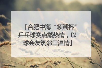 合肥中海“领潮杯”乒乓球赛点燃热情，以球会友筑邻里温情