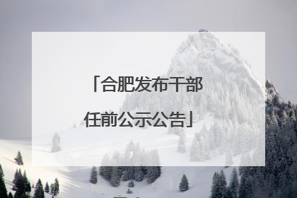 合肥发布干部任前公示公告