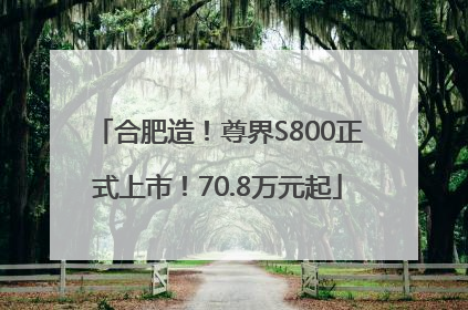 合肥造！尊界S800正式上市！70.8万元起
