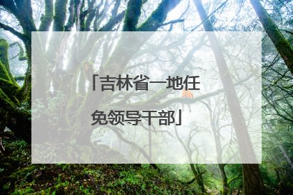 吉林省一地任免领导干部
