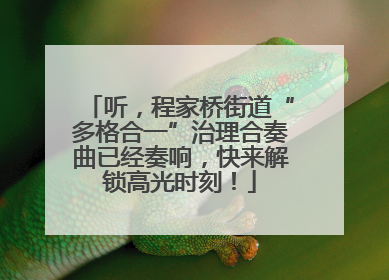 听，程家桥街道“多格合一”治理合奏曲已经奏响，快来解锁高光时刻！