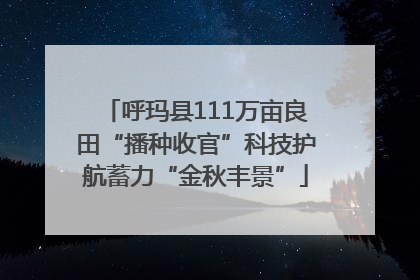 呼玛县111万亩良田“播种收官”科技护航蓄力“金秋丰景”