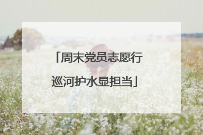 周末党员志愿行 巡河护水显担当