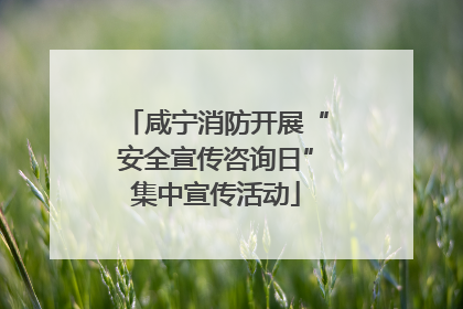 咸宁消防开展“安全宣传咨询日”集中宣传活动