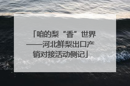 咱的梨“香”世界——河北鲜梨出口产销对接活动侧记