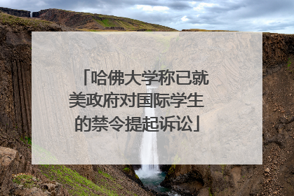哈佛大学称已就美政府对国际学生的禁令提起诉讼