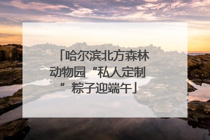 哈尔滨北方森林动物园“私人定制”粽子迎端午