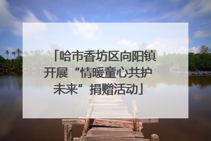 哈市香坊区向阳镇开展“情暖童心共护未来”捐赠活动
