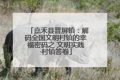 嘉禾县晋屏镇：解码全国文明村镇的幸福密码之 文明实践·村镇答卷