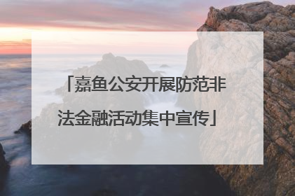 嘉鱼公安开展防范非法金融活动集中宣传