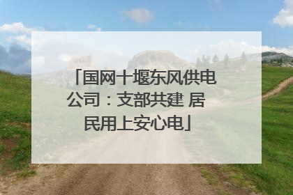 国网十堰东风供电公司：支部共建 居民用上安心电