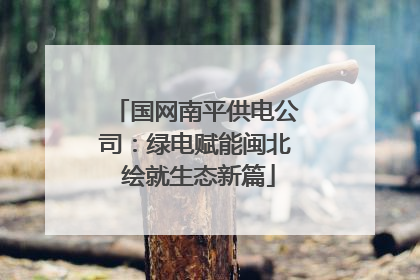 国网南平供电公司：绿电赋能闽北 绘就生态新篇