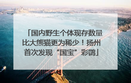 国内野生个体现存数量比大熊猫更为稀少！扬州首次发现“国宝”彩鹮