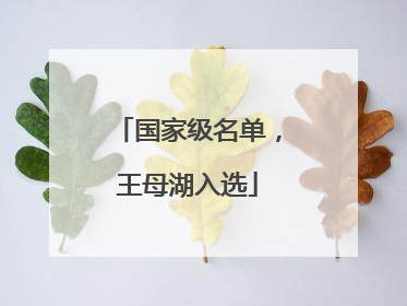 国家级名单，王母湖入选